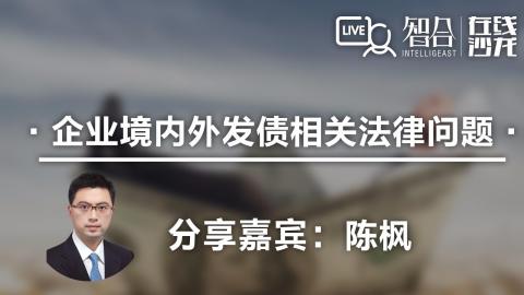 陈枫："企业境内外发债 相关法律问题"