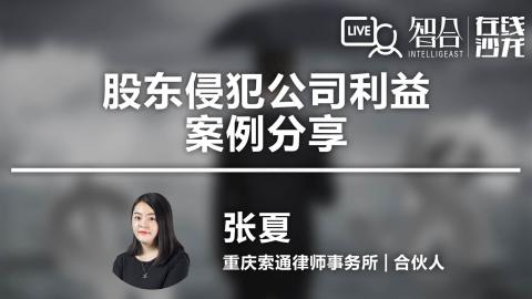 张夏：股东侵犯公司利益 案例分享
