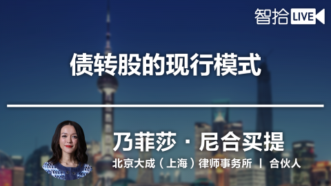 乃菲莎：不良资产处置之债转股法律实务解读