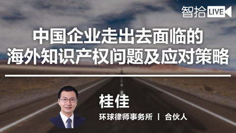 桂佳：中国企业走出去面临的海外知识产权问题及应对策略