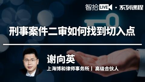 谢向英：面对二审三难，律师如何找到切入点