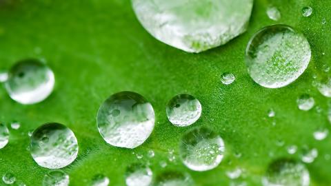 测试课程-4-卢雨洋